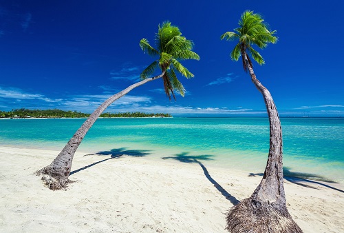 Auction Travel Packages to Fiji