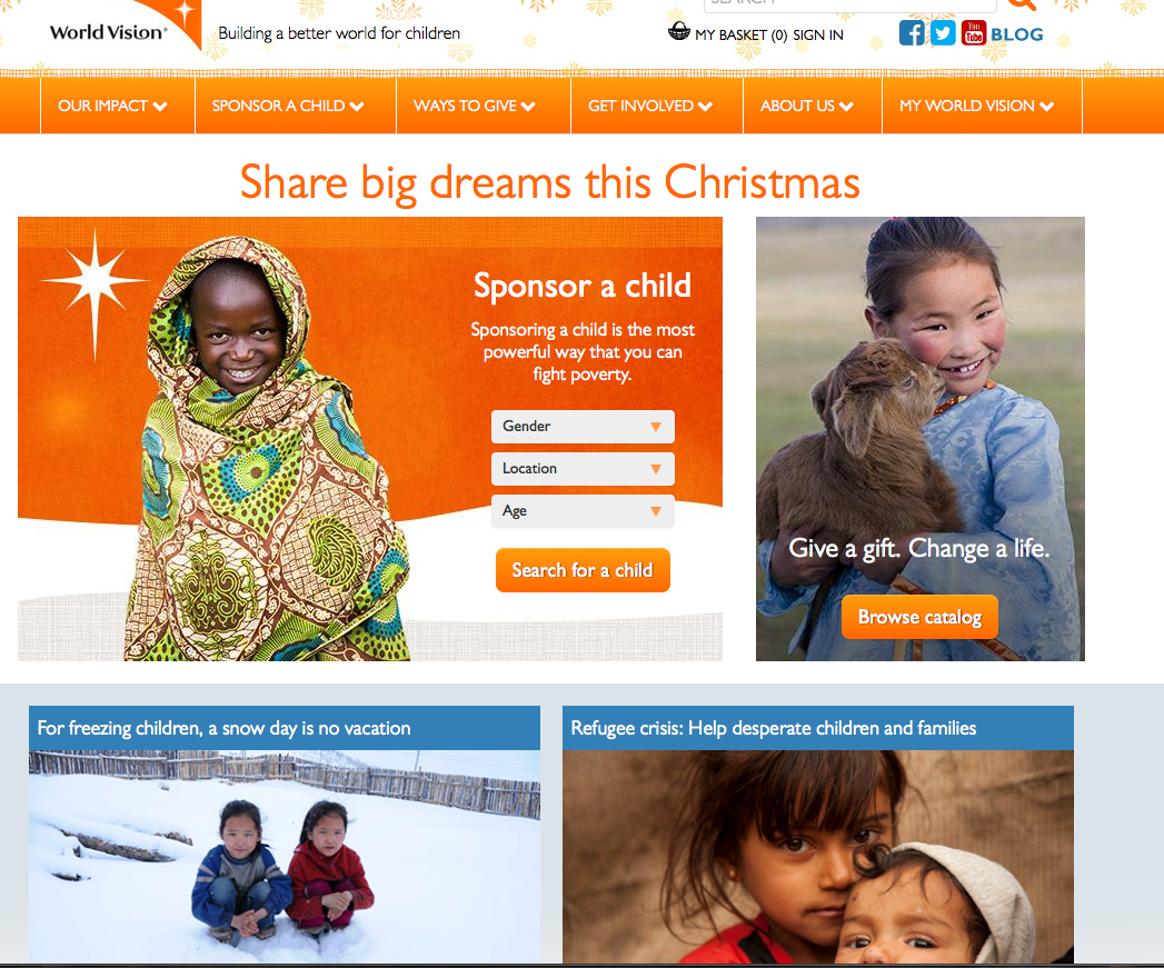 Example of a Charity Donation Webpage