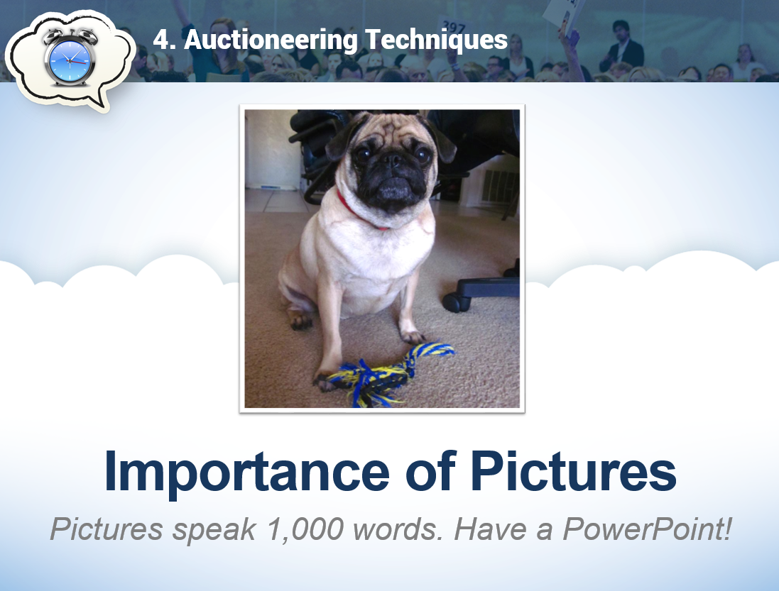 Pictures are worth a thousand pugs.