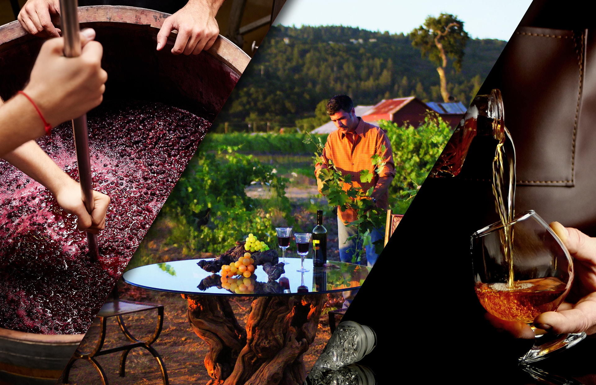 VIP are finds wine bourbon culinary travel