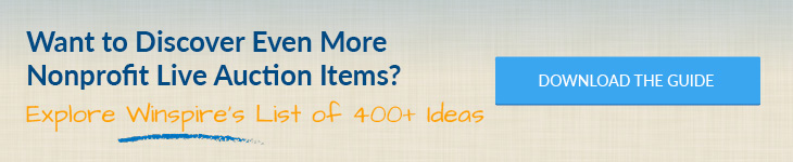 To discover more auction item ideas, explore Winspire’s list of 400+ ideas by downloading the guide. 